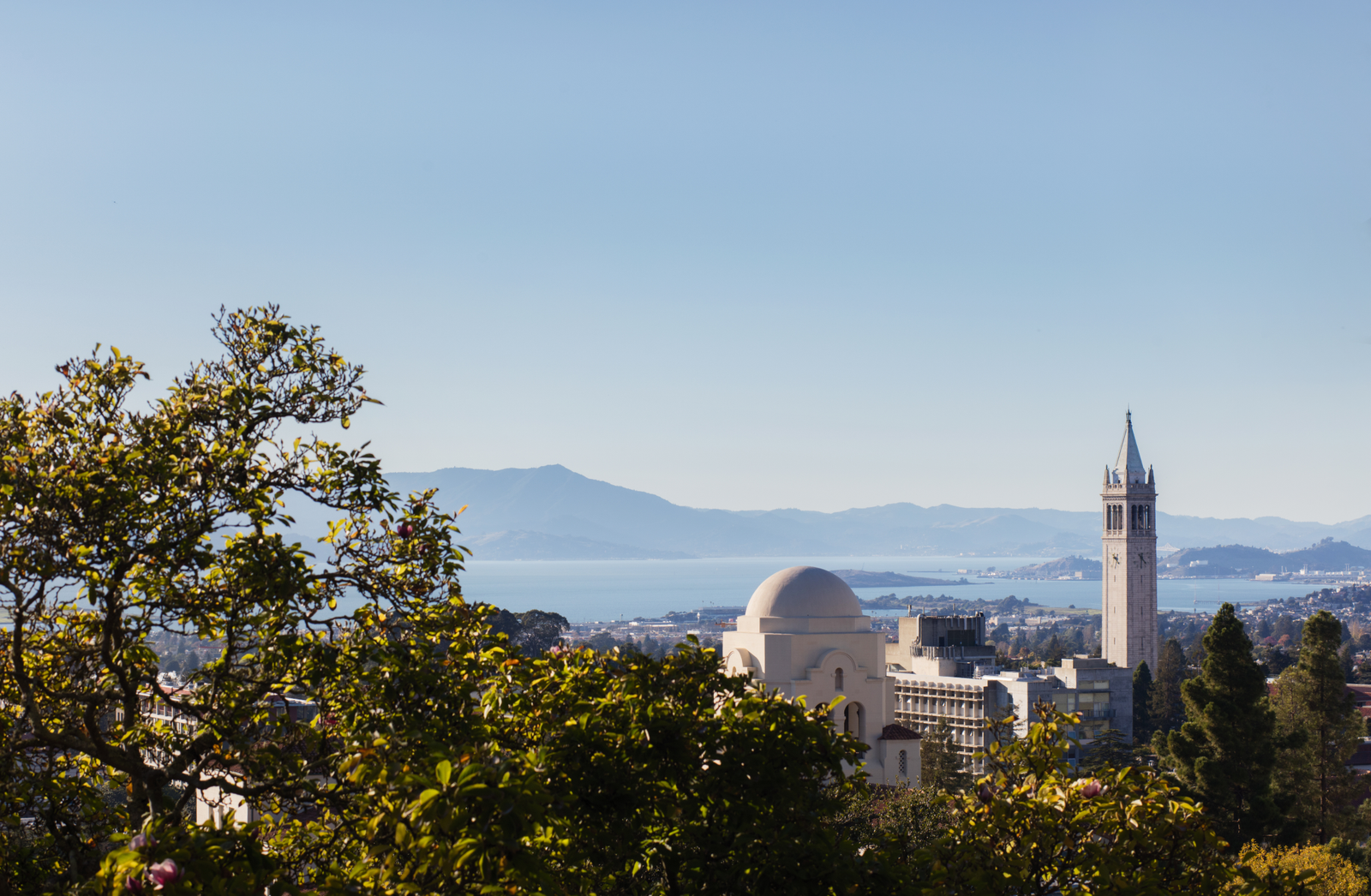 View of Berkeley and Sather Tower.