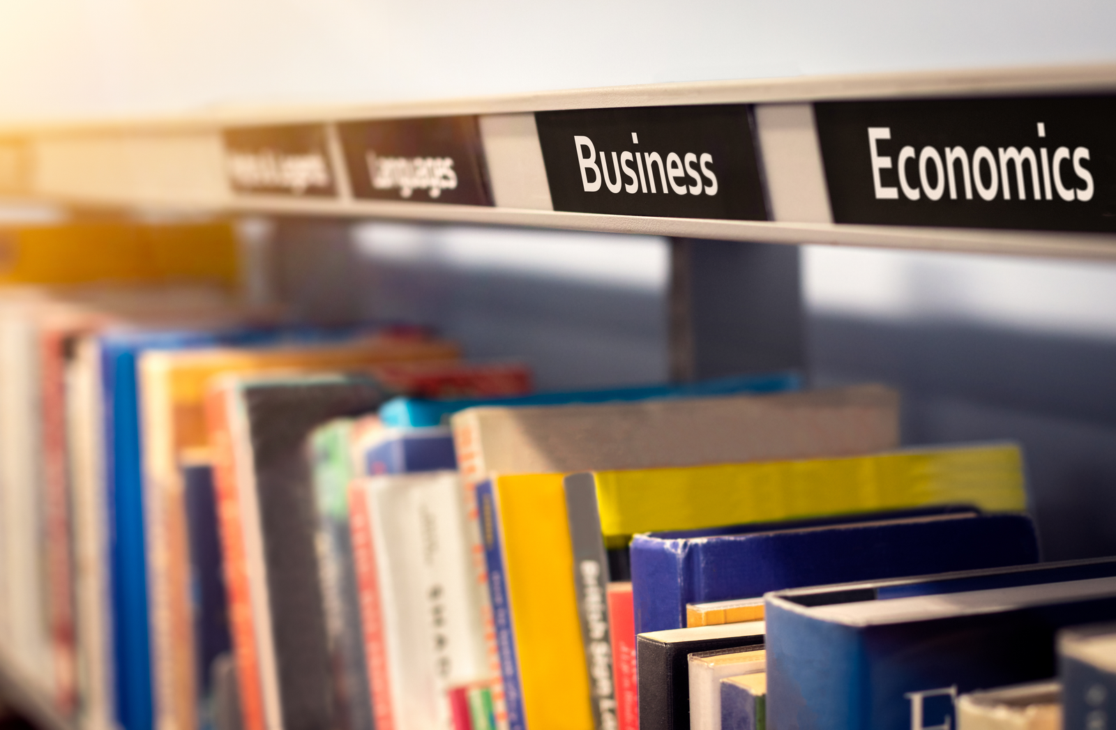 Economics degree