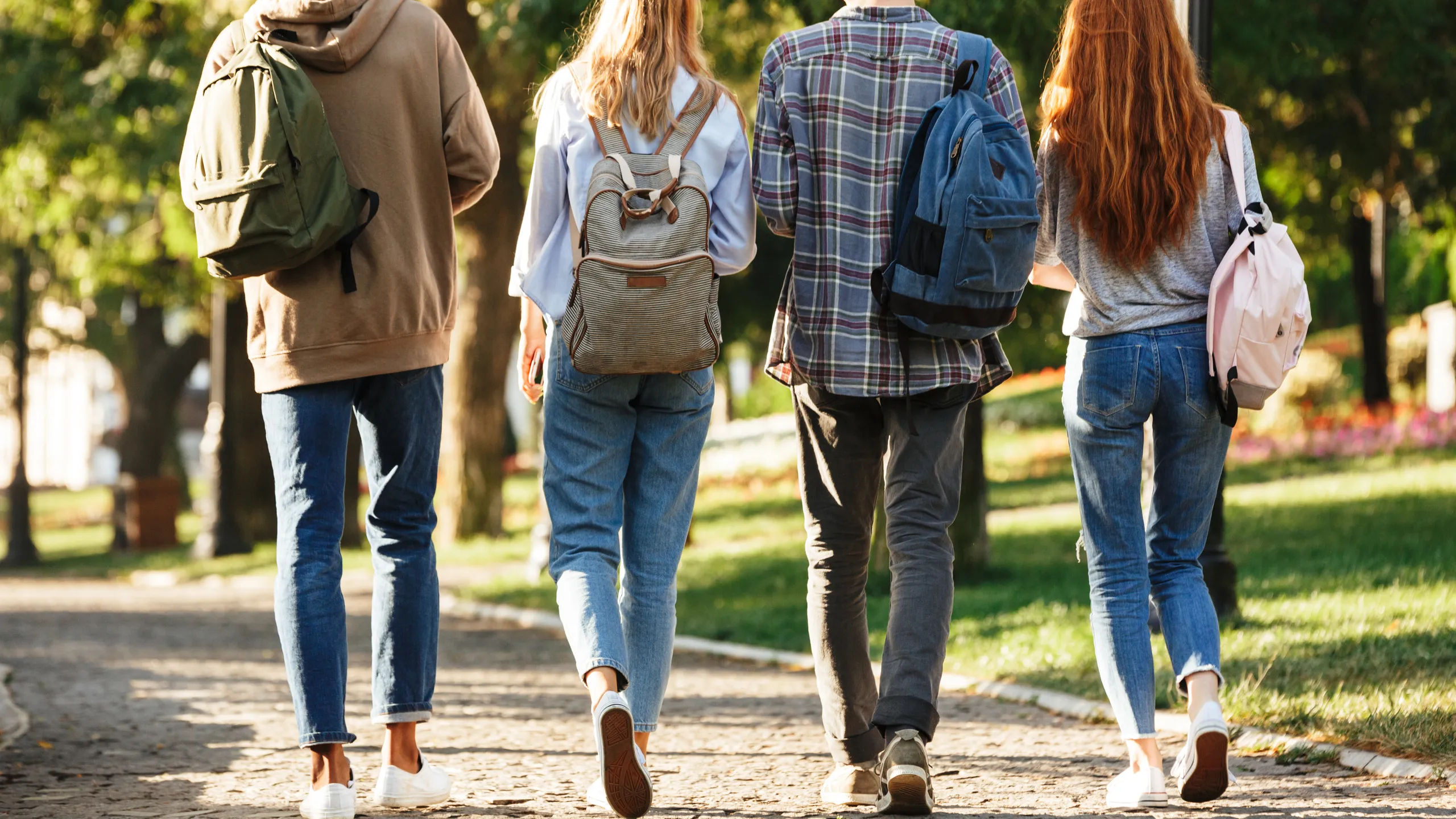 Back view group of students