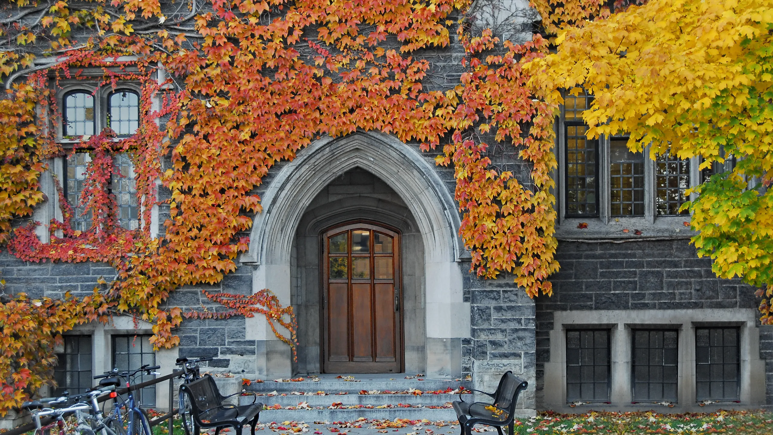 entrance to old ivy covered gothic stone college building with fall colors