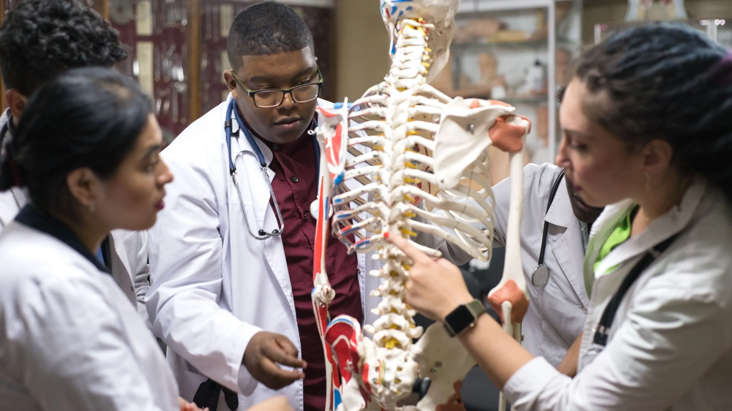 medical students study the structure of man, on the skeleton. A group of young people of different sex, mixed race, in medical clothes, in the classroom
