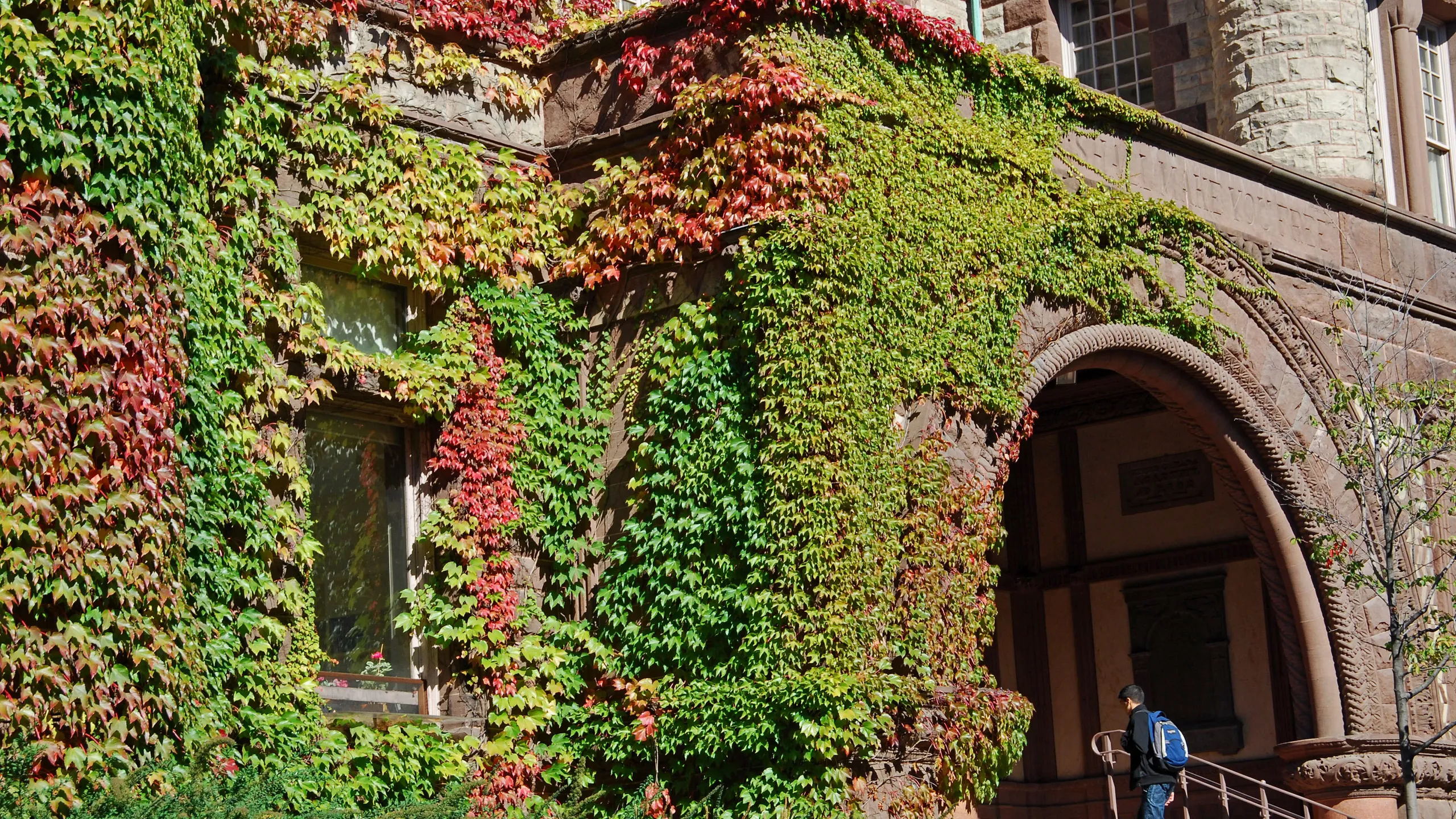 college building with colorful fall ivy