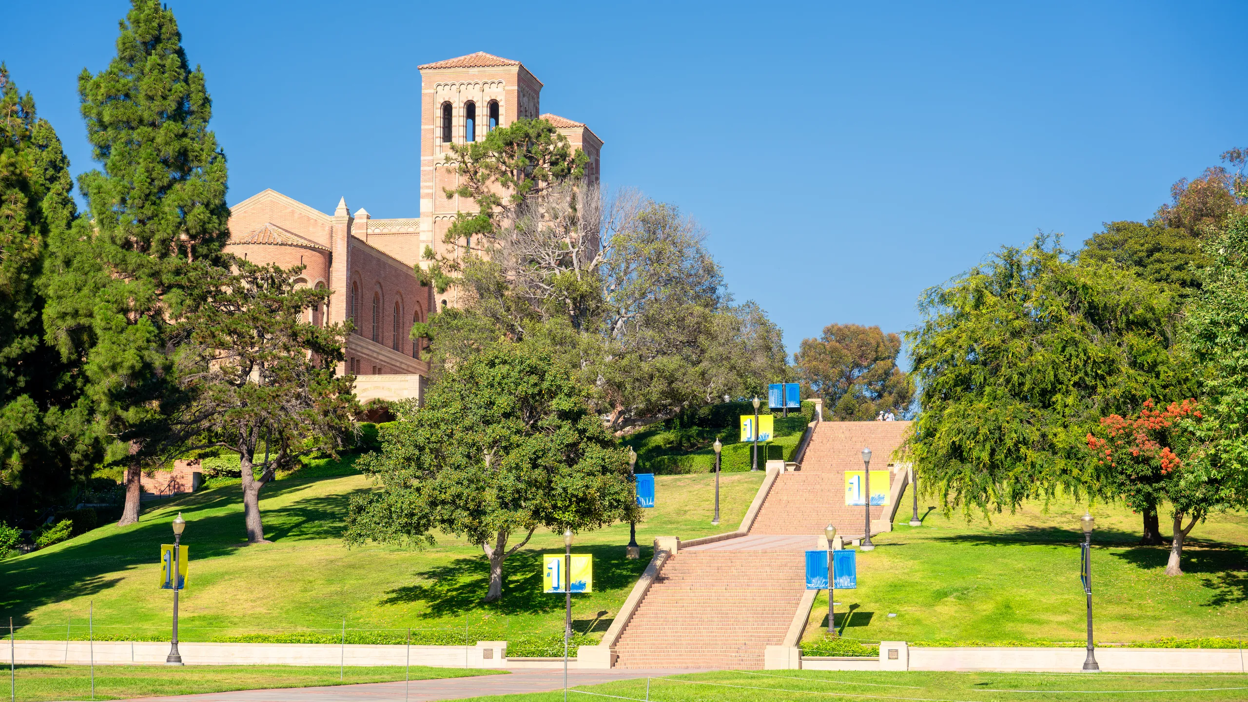 University of California, Los Angeles