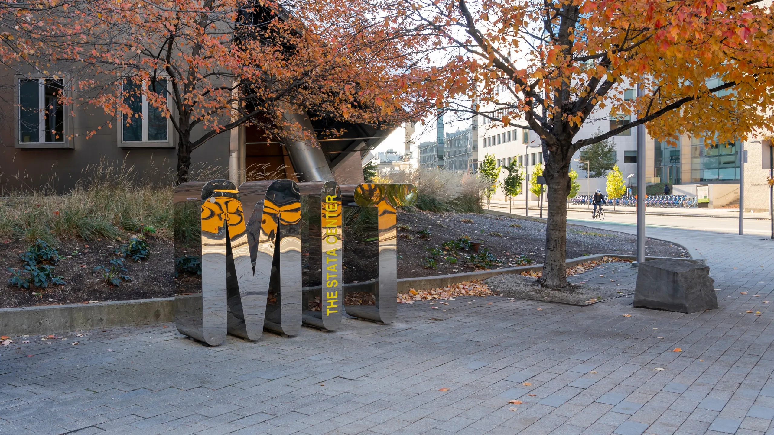 MIT campus