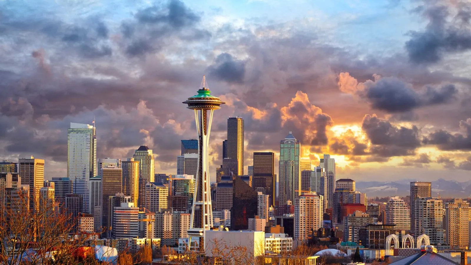 College Admissions Counseling in Seattle, WA