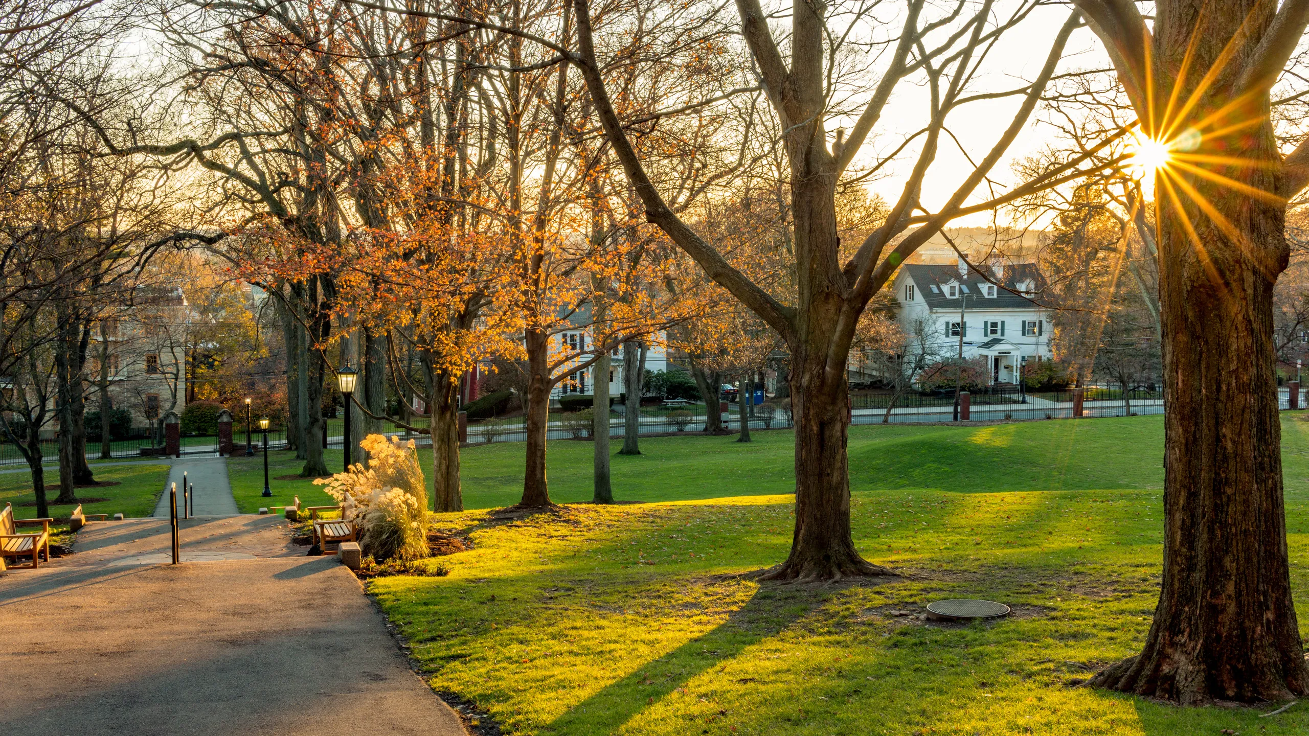college campus view in the evening