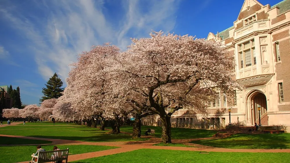 how to get into university of washington