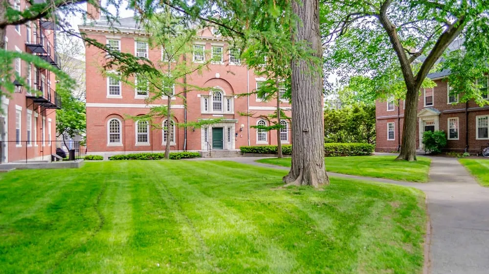 how to get into harvard