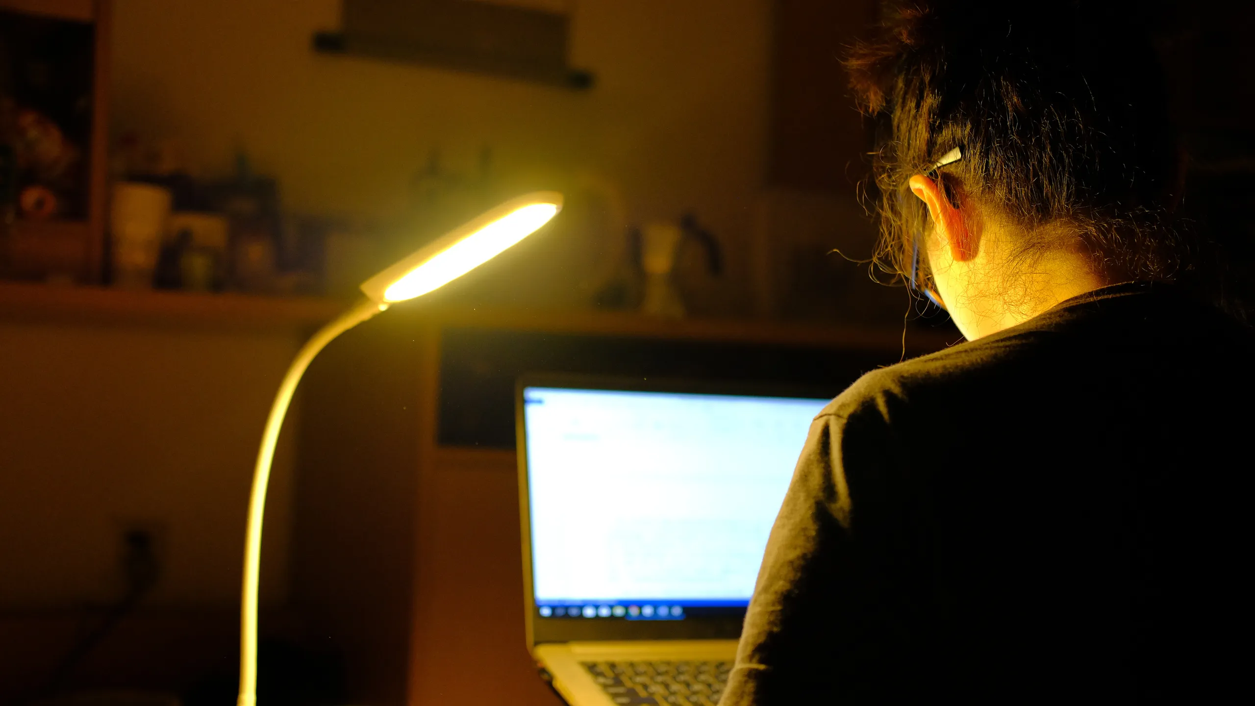 concentrated on computer