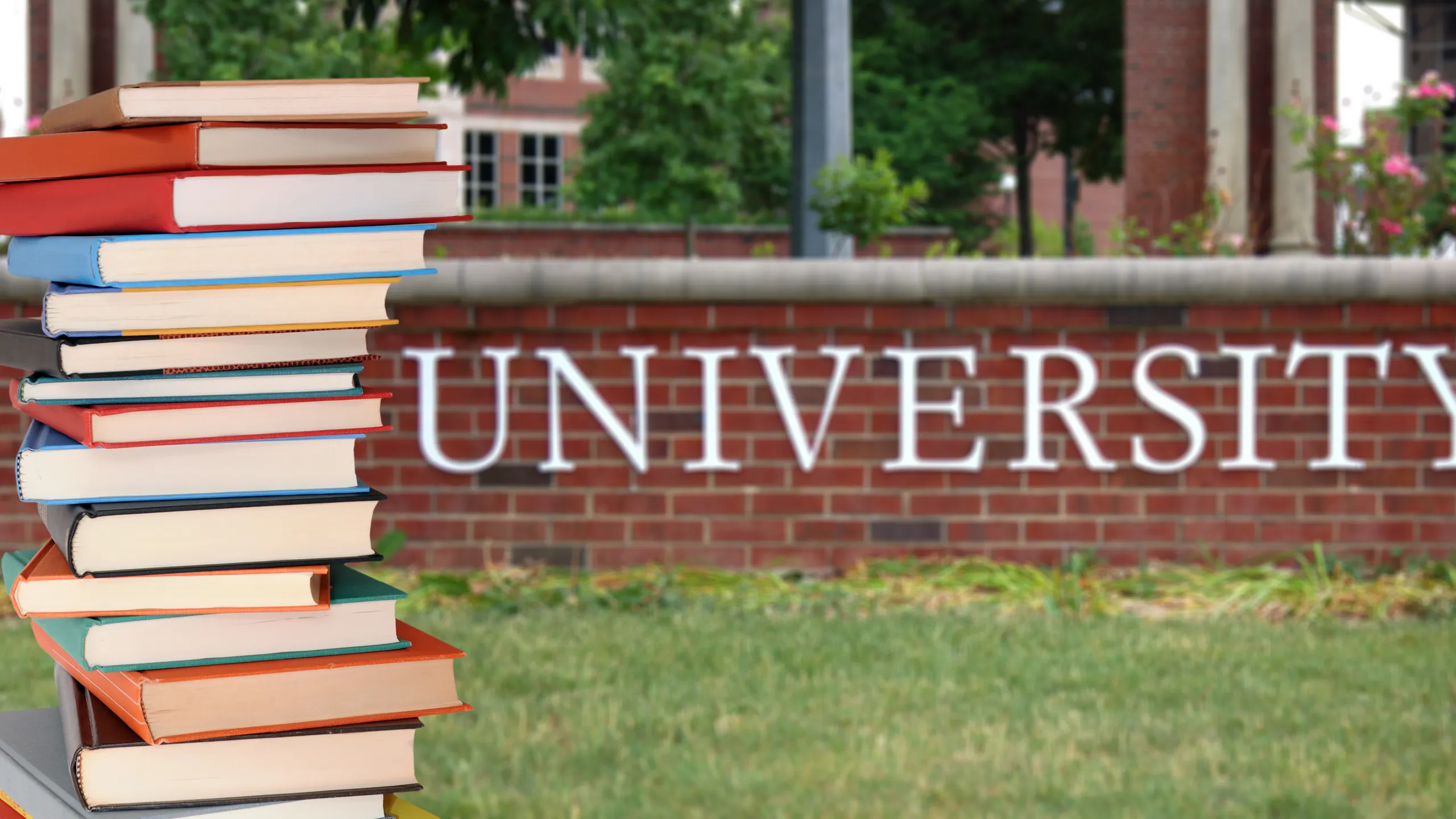 university