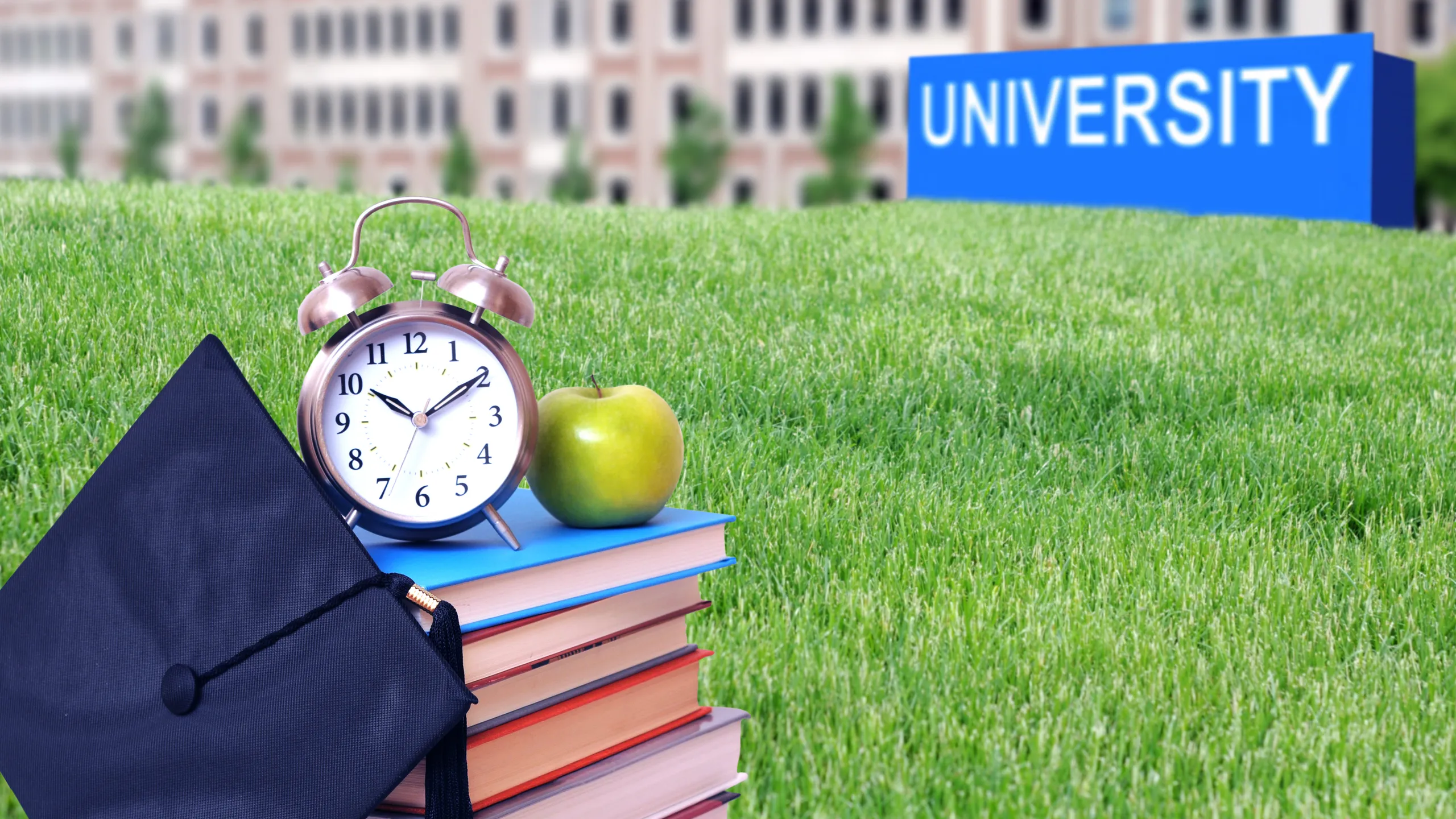 university