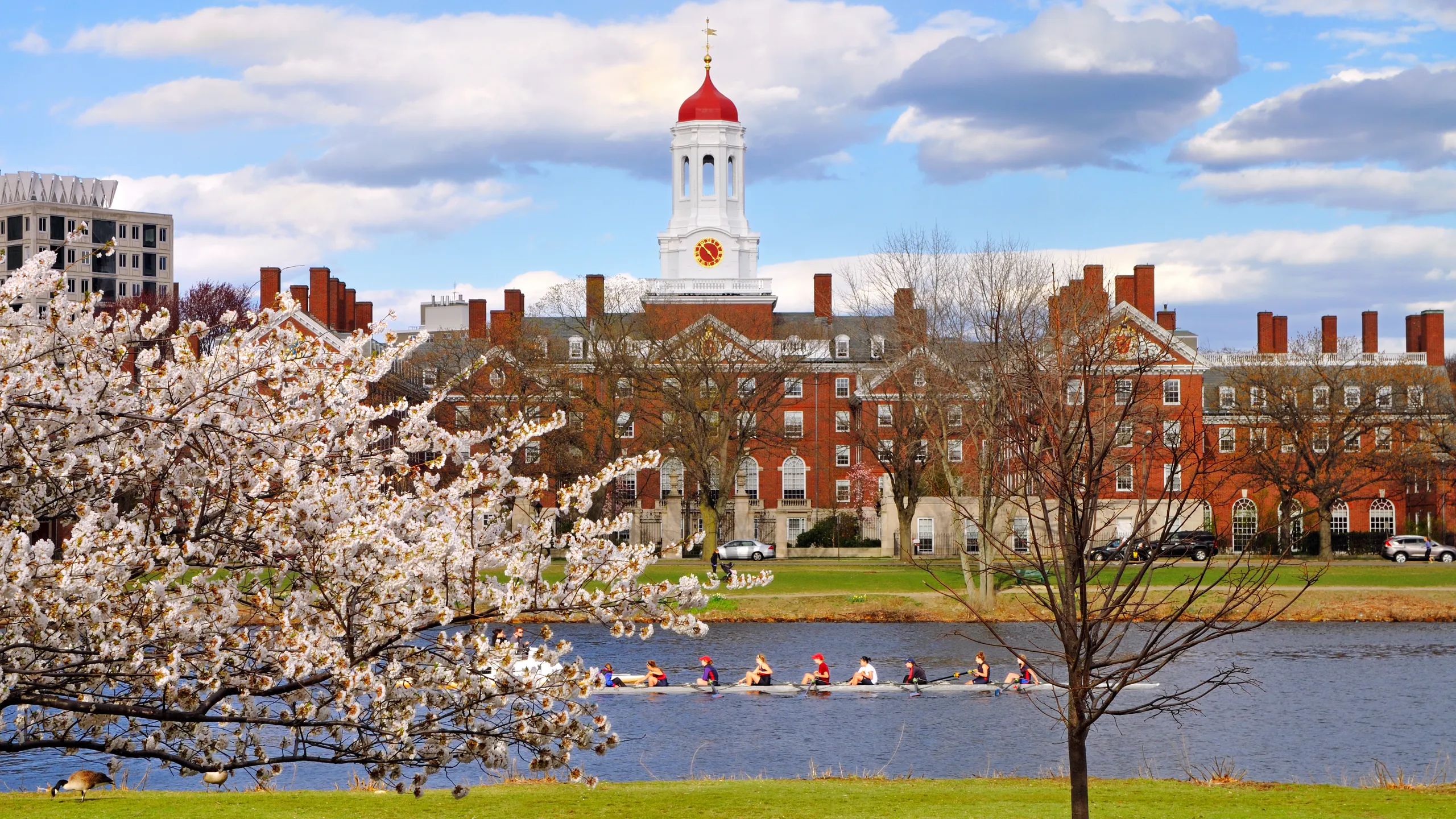 Harvard in the spring