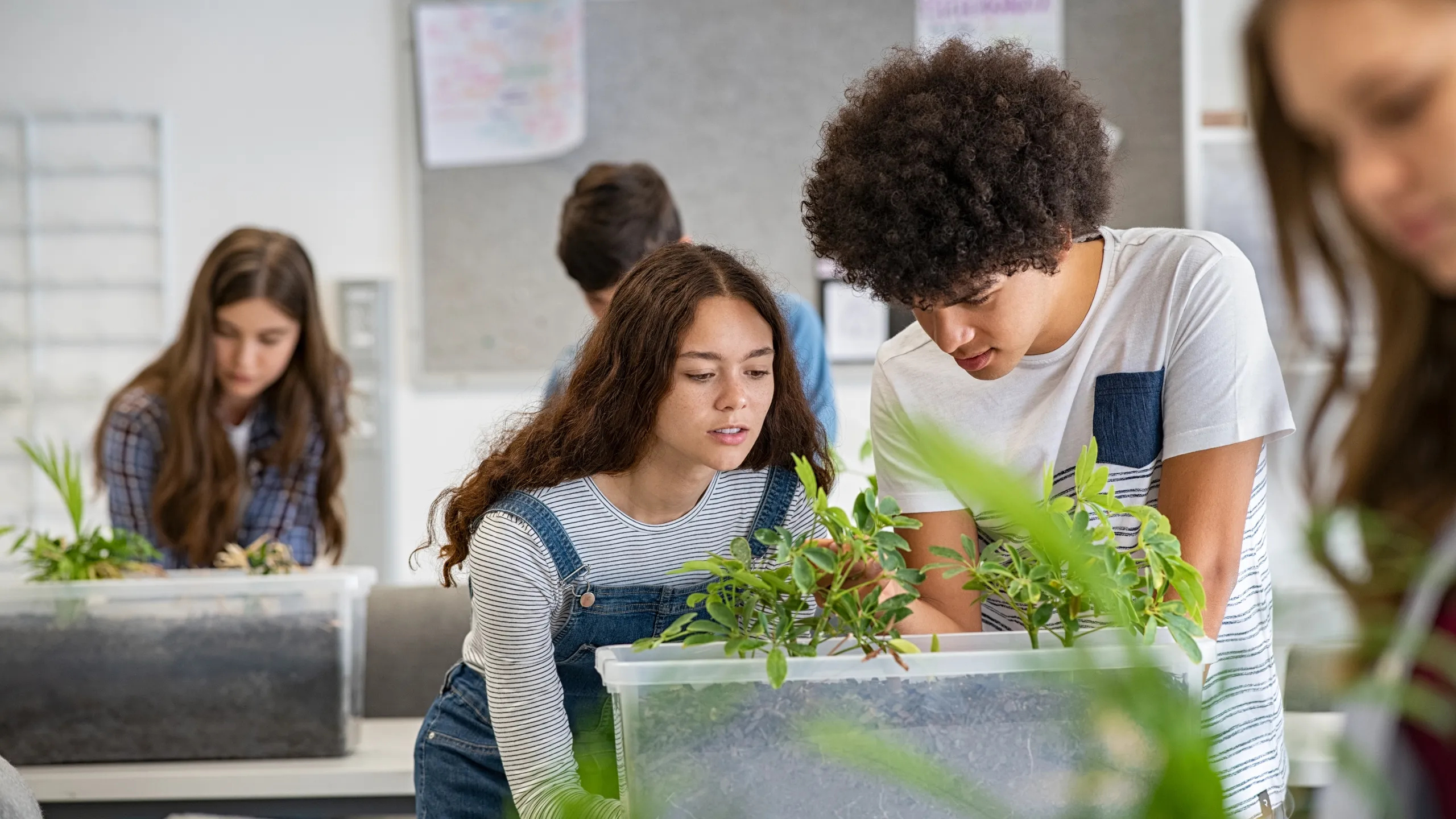 students analyzing plant experiment