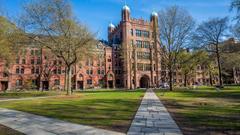how to get into yale university