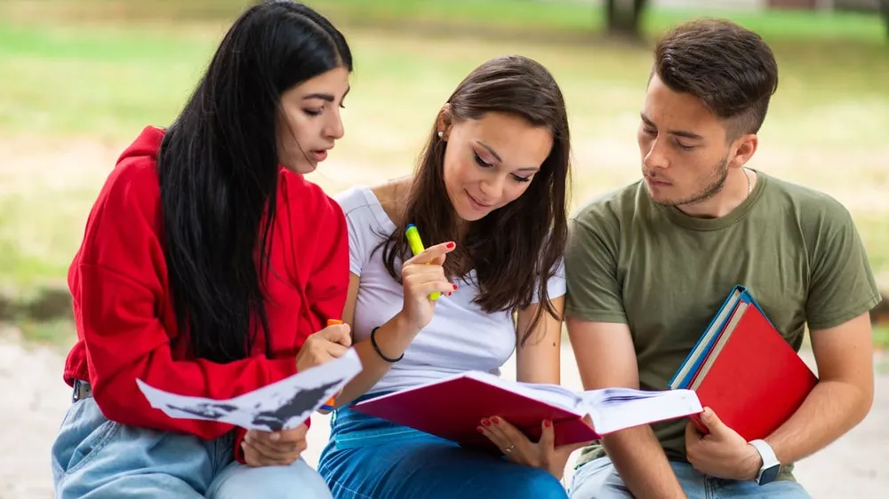 students studying outdoors