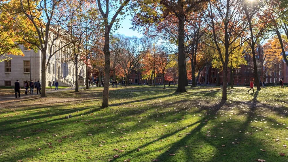 Harvard trees