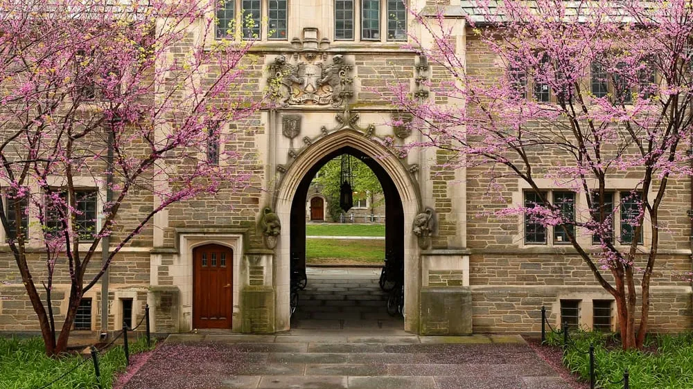 how to get into princeton