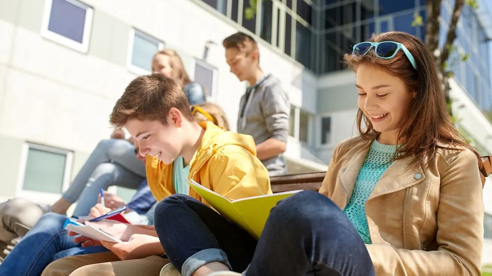 Students studying outside