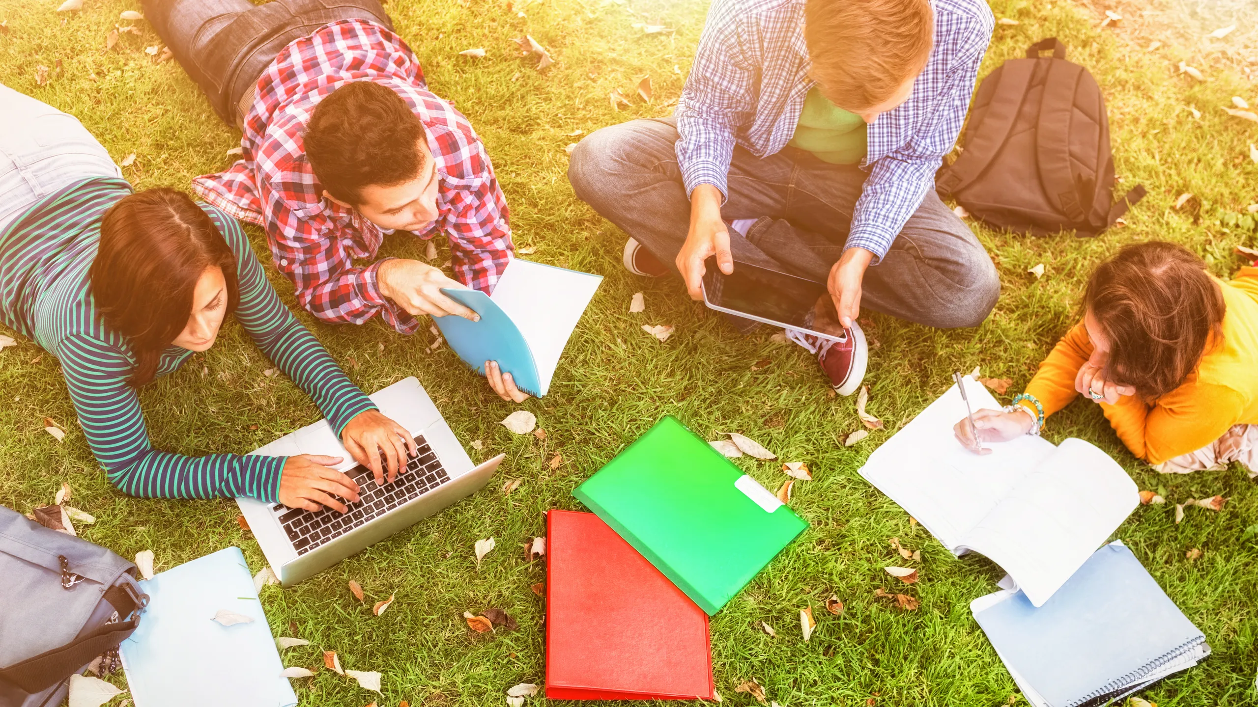 college students studying on the grass