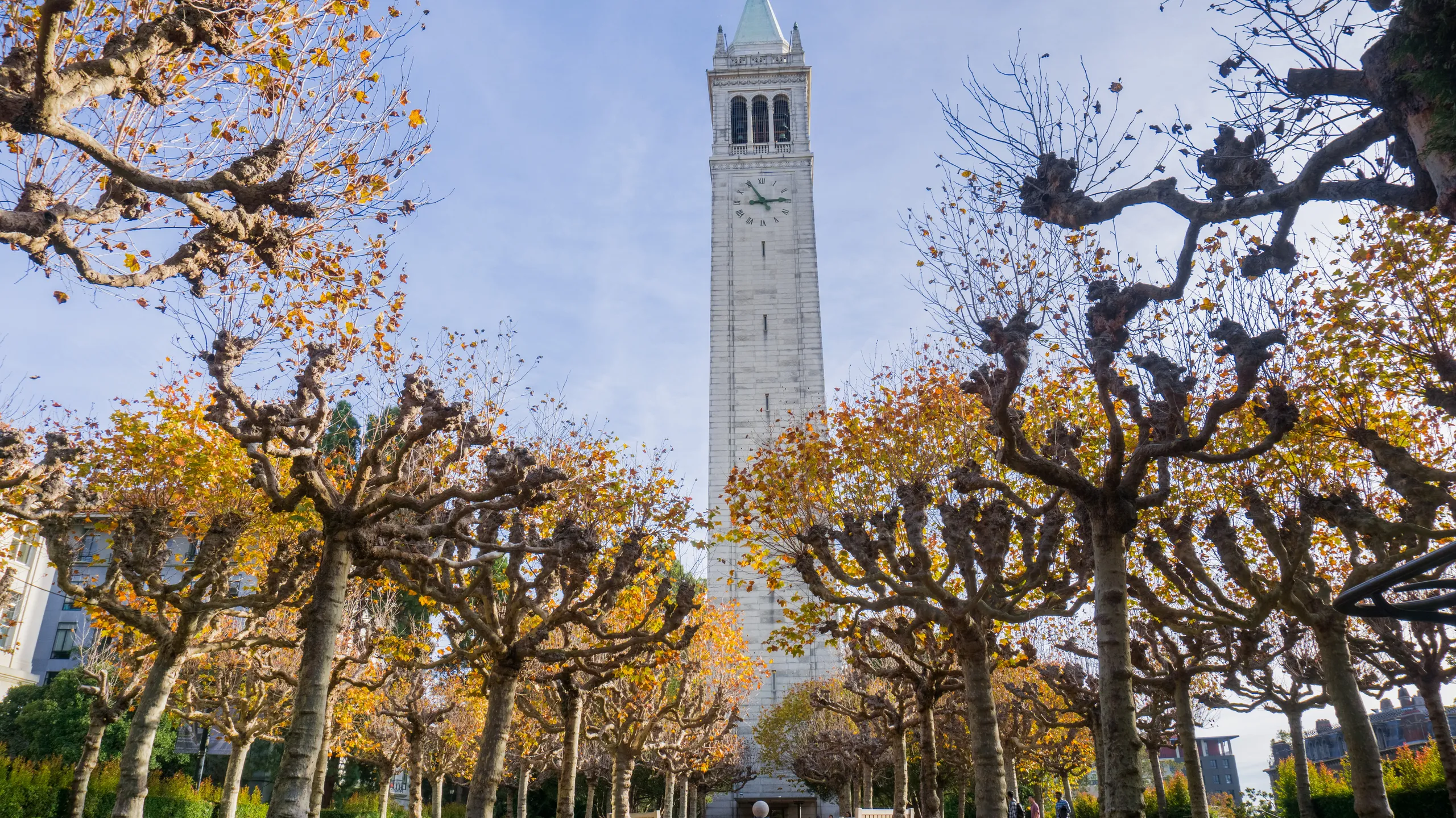 how to get into uc berkeley